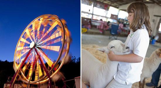 Cummington Fair