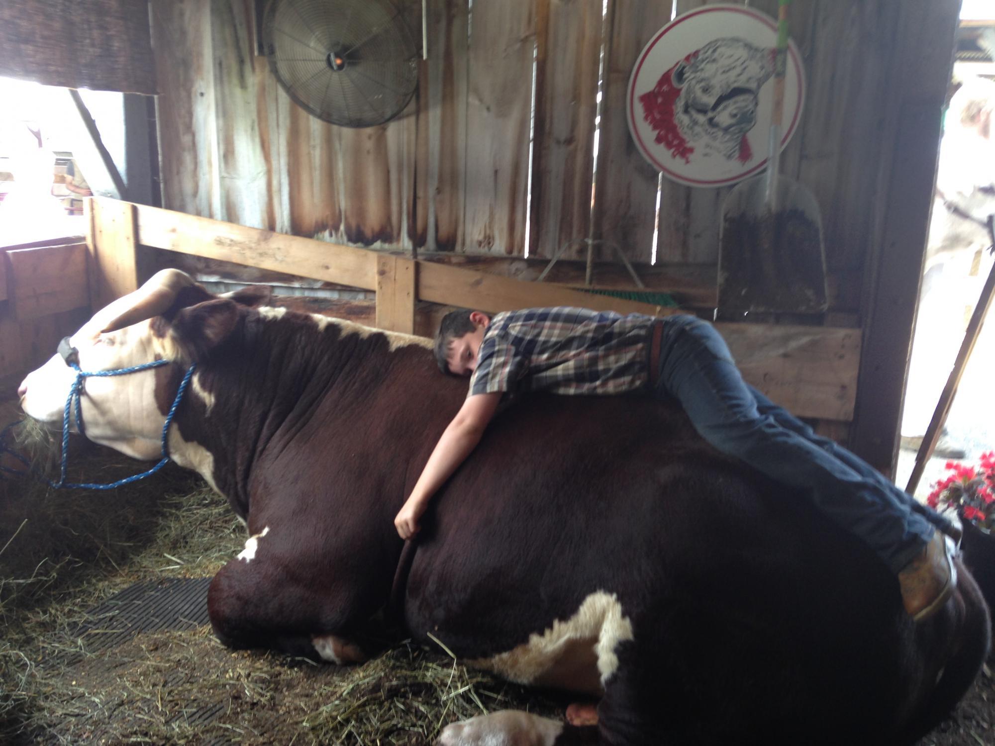 Cummington Fair