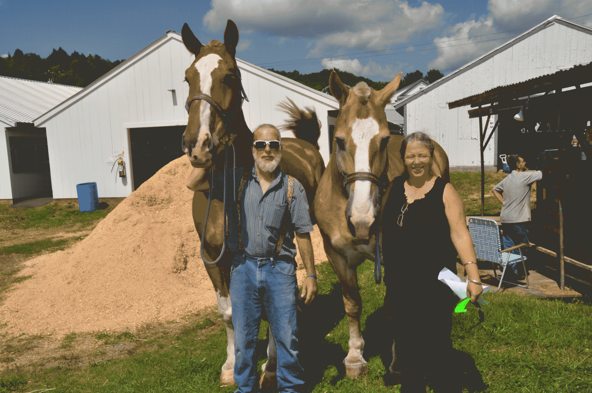 Draft Horse Pair Cummington Fair